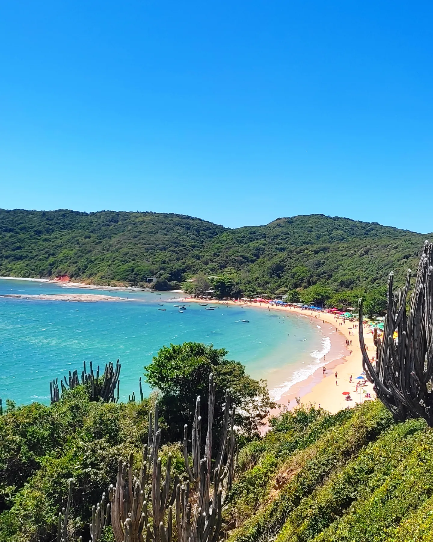 Praia da Tartaruga – ideal para snorkel y atardeceres